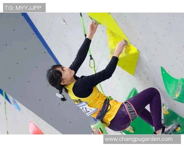 杭州攀岩队引领潮流最新攀岩战术TOP10全解析