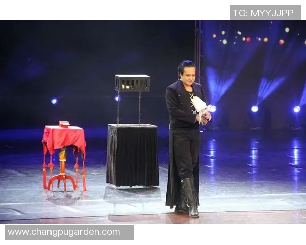 魔术的神奇世界：探索 illusion 现象与魔术背后的心理学奥秘