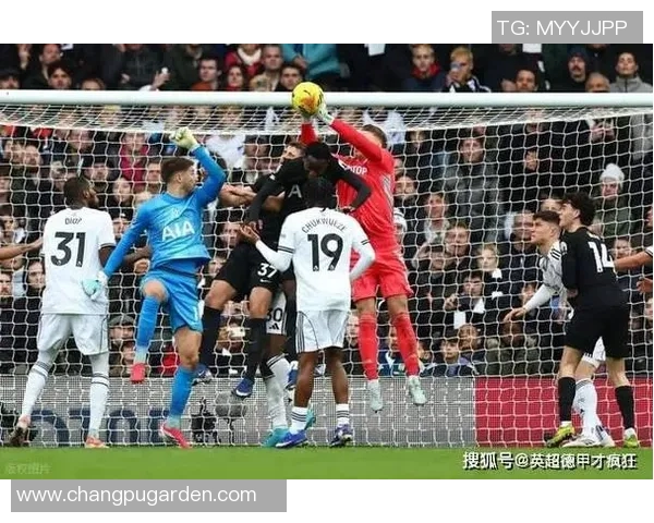 热刺新赛季目标明确 聚焦年轻球员培养与英超前四争夺