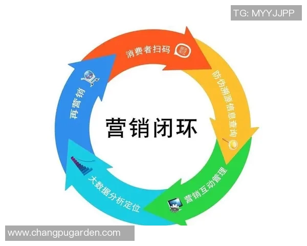 竞技运动的多维发展与创新探索：从竞技精神到技术革新的全面分析