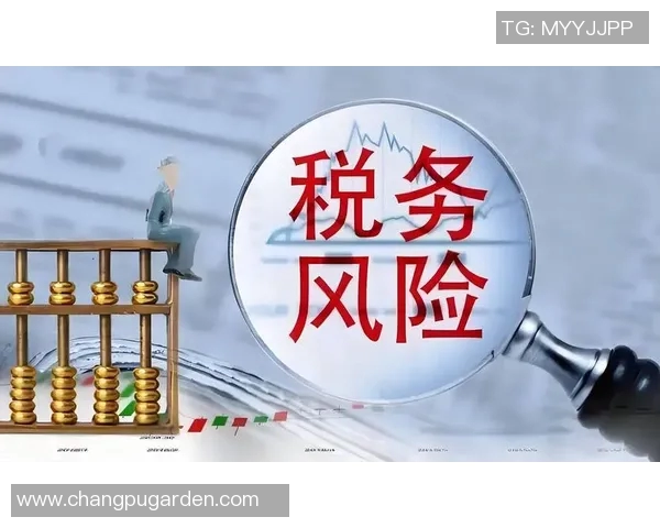 财税管理创新路径与实践探索：提升企业财务效率与税务合规性