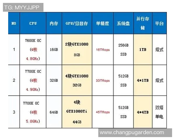 北京排球队实力分析与未来发展趋势的深度探讨