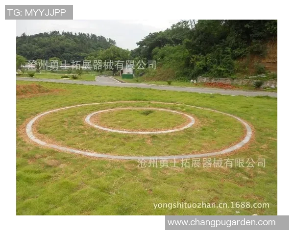 杭州极限运动队进攻表现分析与战术得失评估